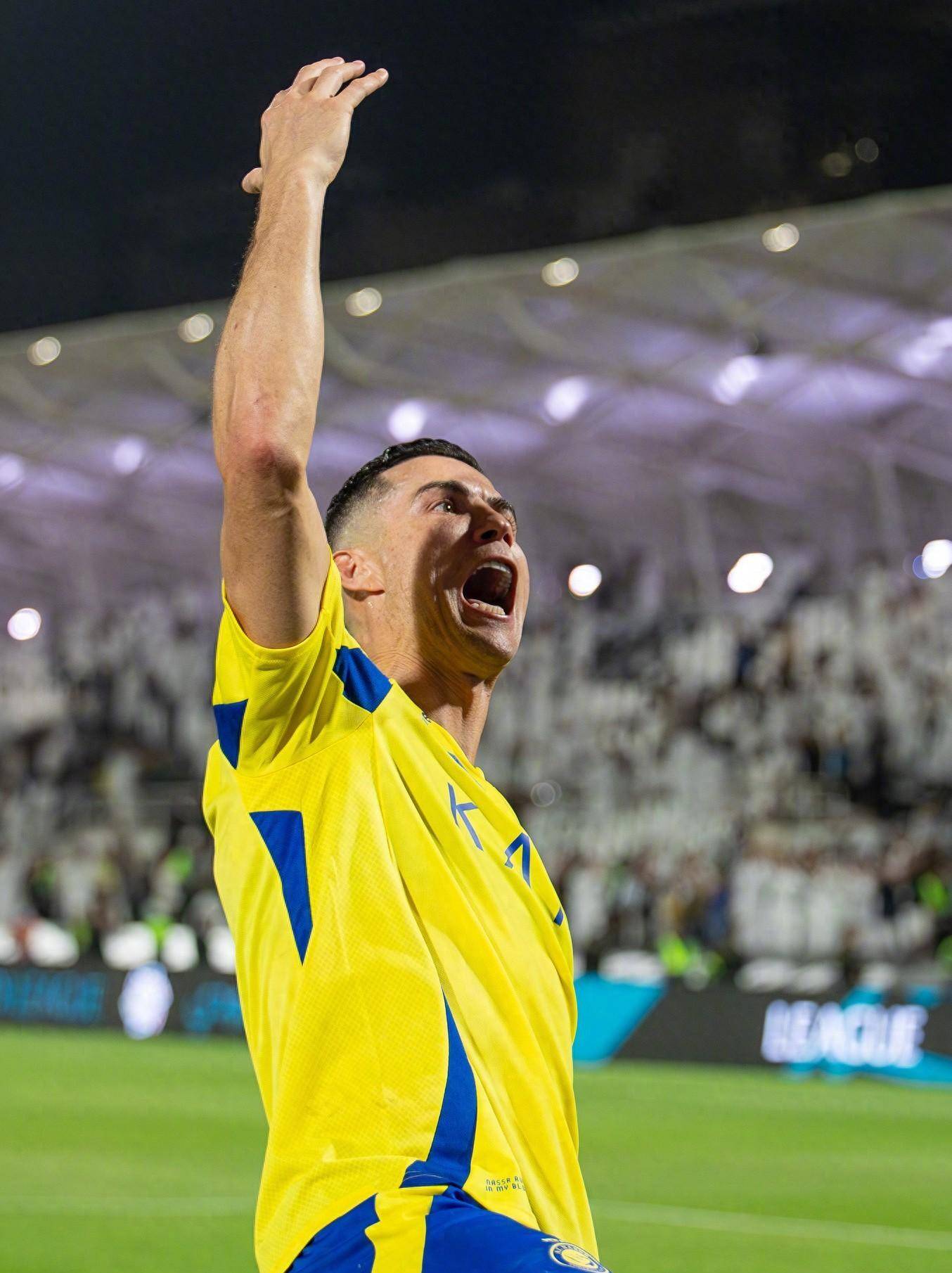 诺德描述在 诺德描述在