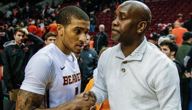 不仅展现了 不仅展现了